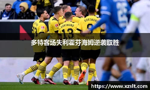 多特客场失利霍芬海姆逆袭取胜